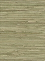 215488 Naturālas tapetes