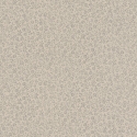 802238 Wallpaper