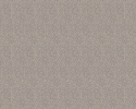 366675 Wallpaper