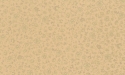 962345 Wallpaper