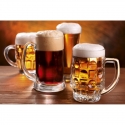 MS-5-0248 Beer Mugs