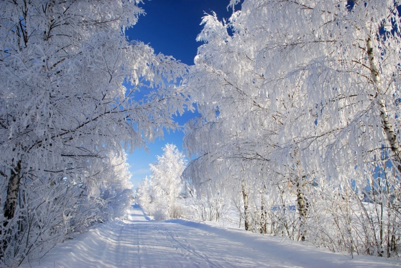 The road winter