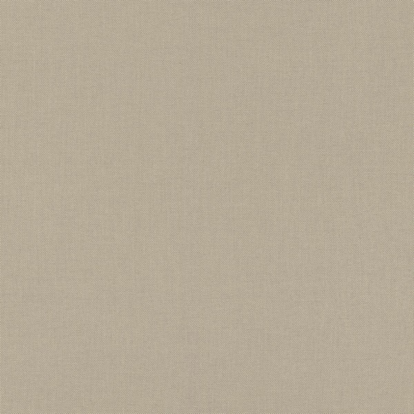 423921 Wallpaper