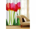 CU-015 Tulips