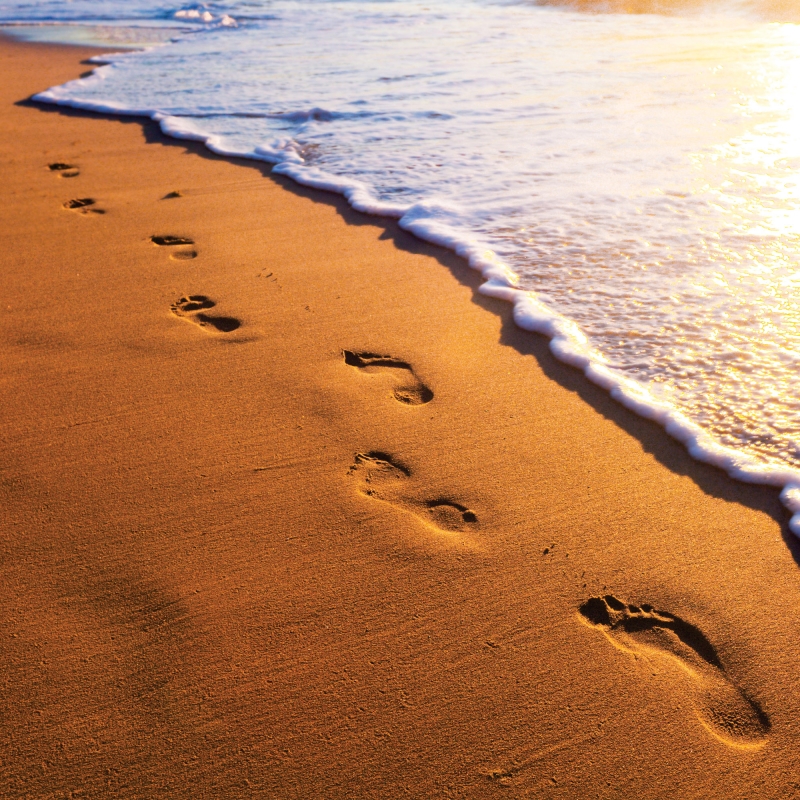 FL-255-009 Footprints in the sand