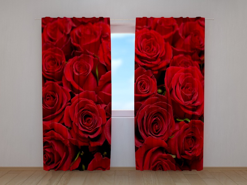 Aizkari Roze 2