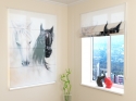 Roman Blind African Horses