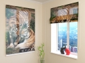 Roman Blind Tigers Love