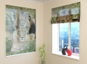 Roman Blind Family Lions