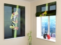 Roman Blind Little frog