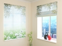 Roman Blind White Dandelions