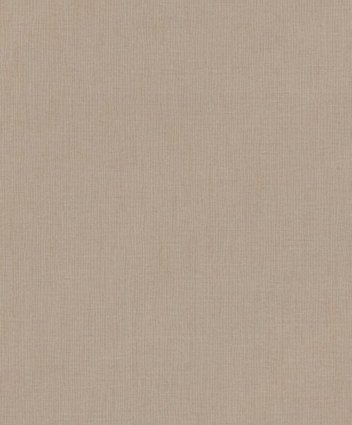 484656 Wallpaper