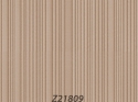 Z21809 Tapete (TV)