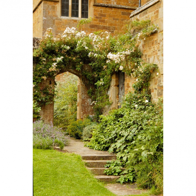 Garden in the castle