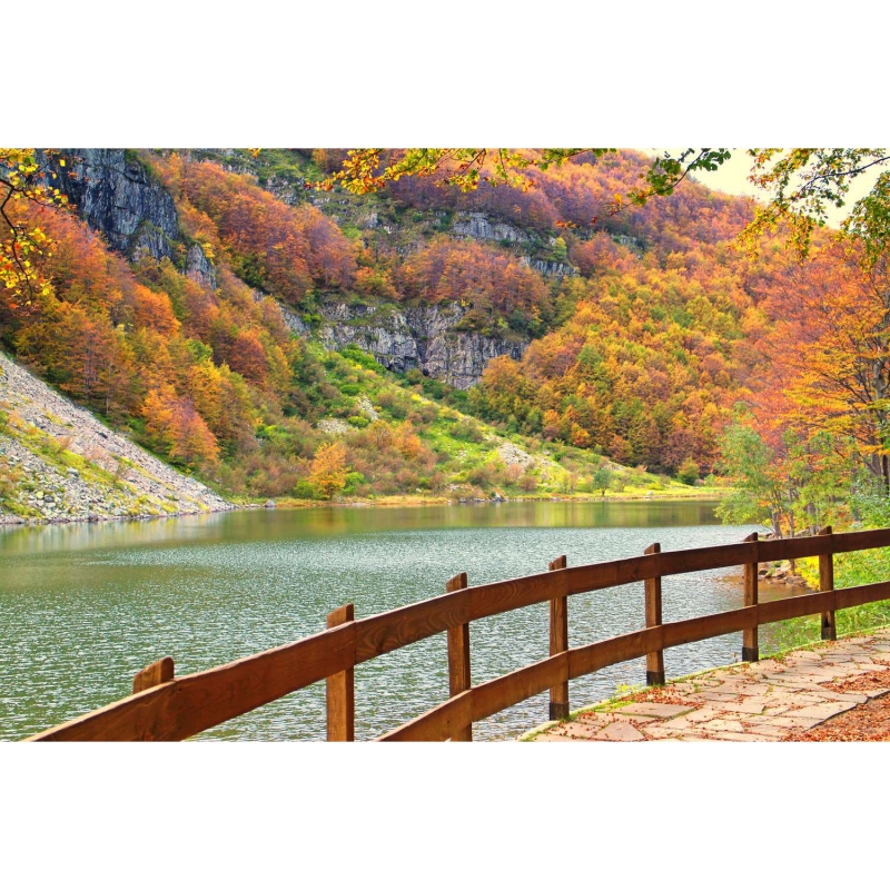 Trail at lake