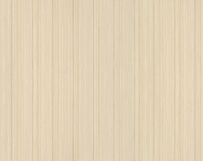 10026 Tapete (TV)