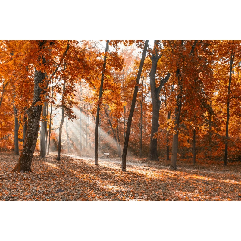 Pilsētu parks