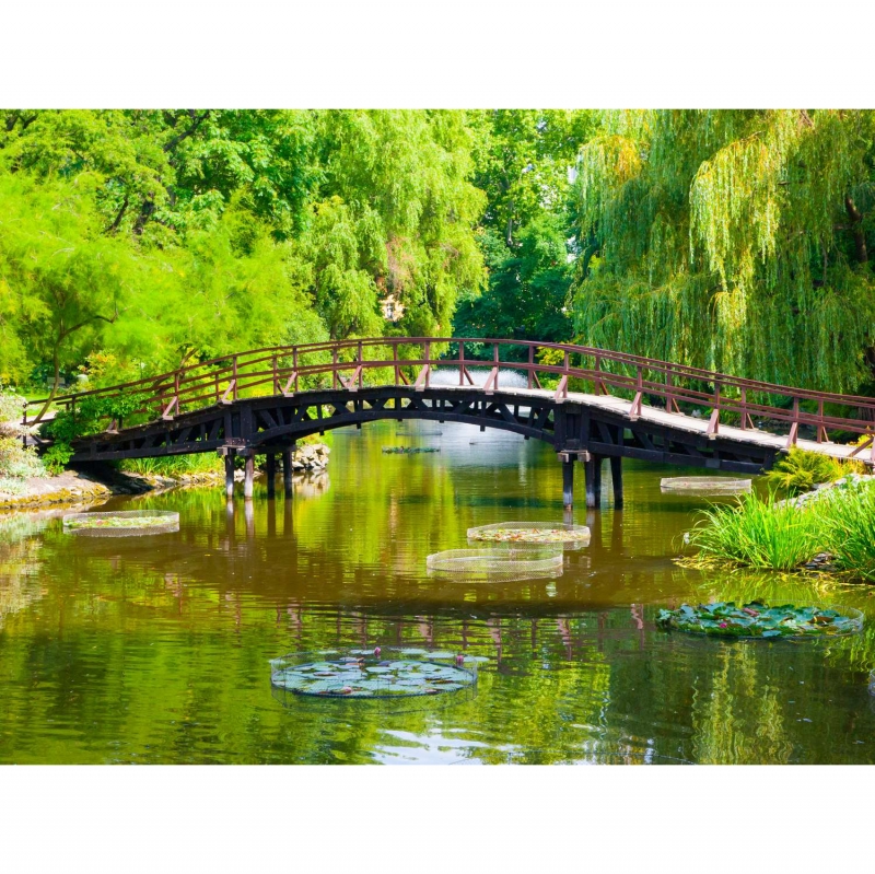 Bridge in the garden