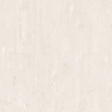100411 Wallpaper