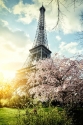 Pavasaris Parīzē 