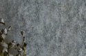 M41343 Wallpaper (TV)