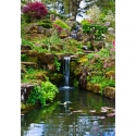 Garden with waterfall