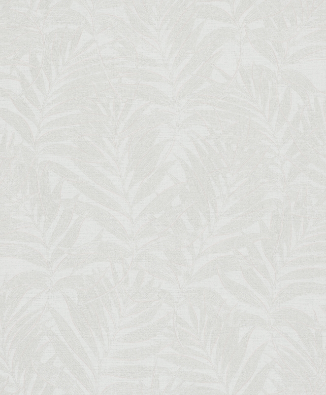 34002 Wallpaper