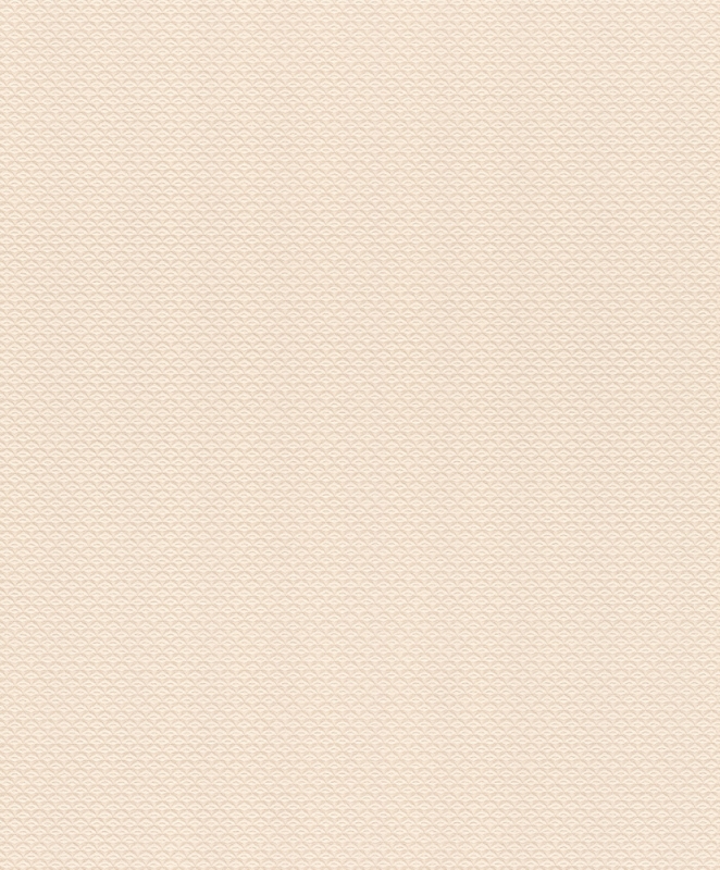 570243 Wallpaper
