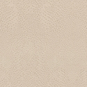 751512 Wallpaper