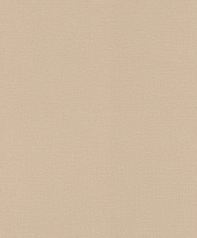 555882 Wallpaper