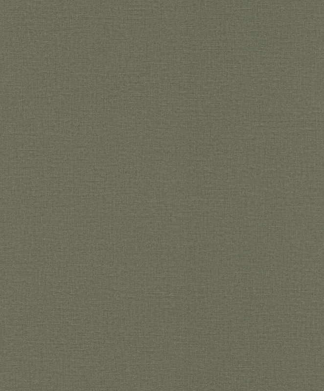 555943 Wallpaper