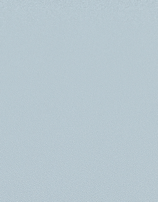 10335-08 / 12168-08 Wallpaper