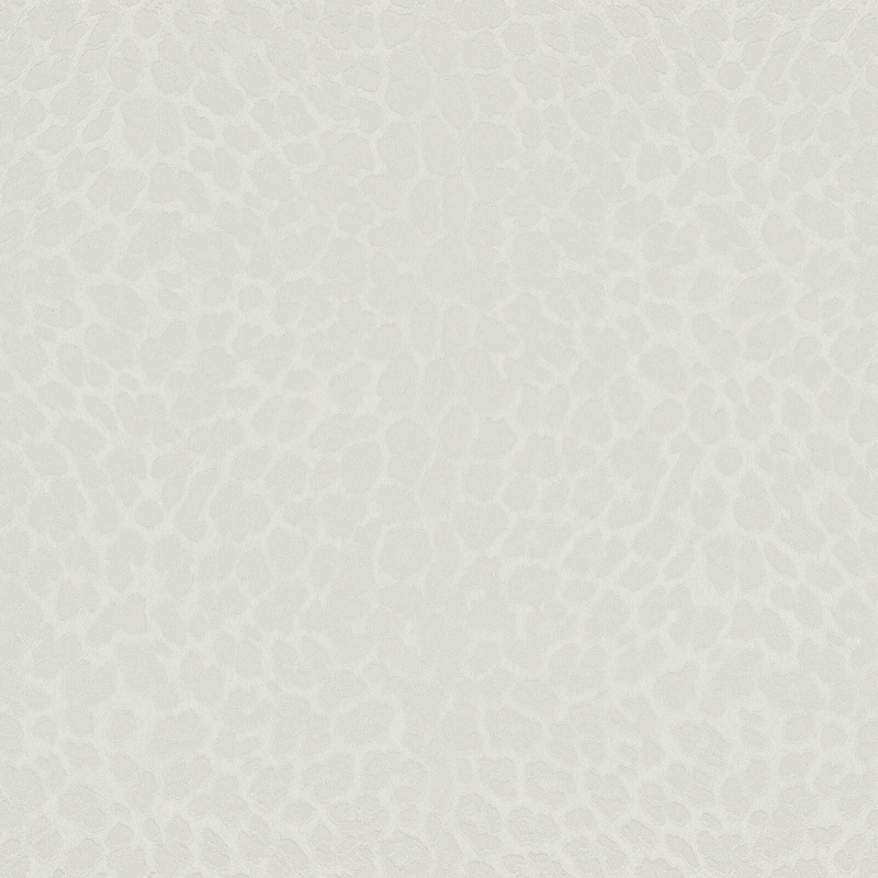 Z80041 Wallpaper