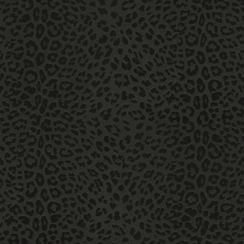 Z80042 Wallpaper