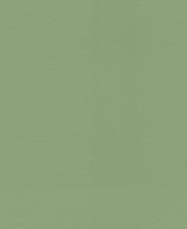 79409 Tapete