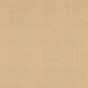 531367 Wallpaper