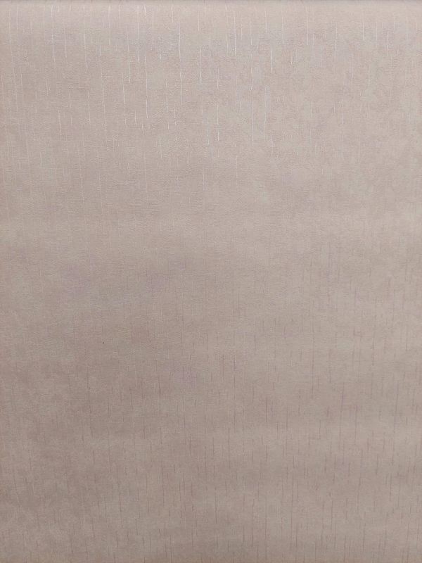 602418 Oбои