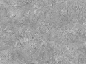 Z10917 Tapete