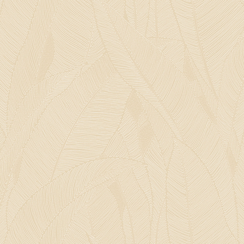 Z16707 Wallpaper