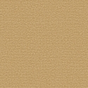 Z16727 Wallpaper