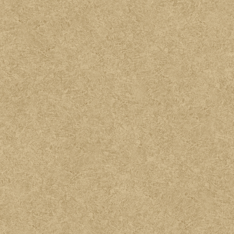 Z20137 Wallpaper