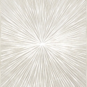 Z30359 Raggi Cornice Levriero Digital Decorative Panels