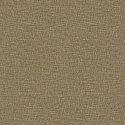 Z47808 Wallpaper