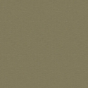 Z47876 Wallpaper