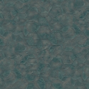Z54505 Wallpaper