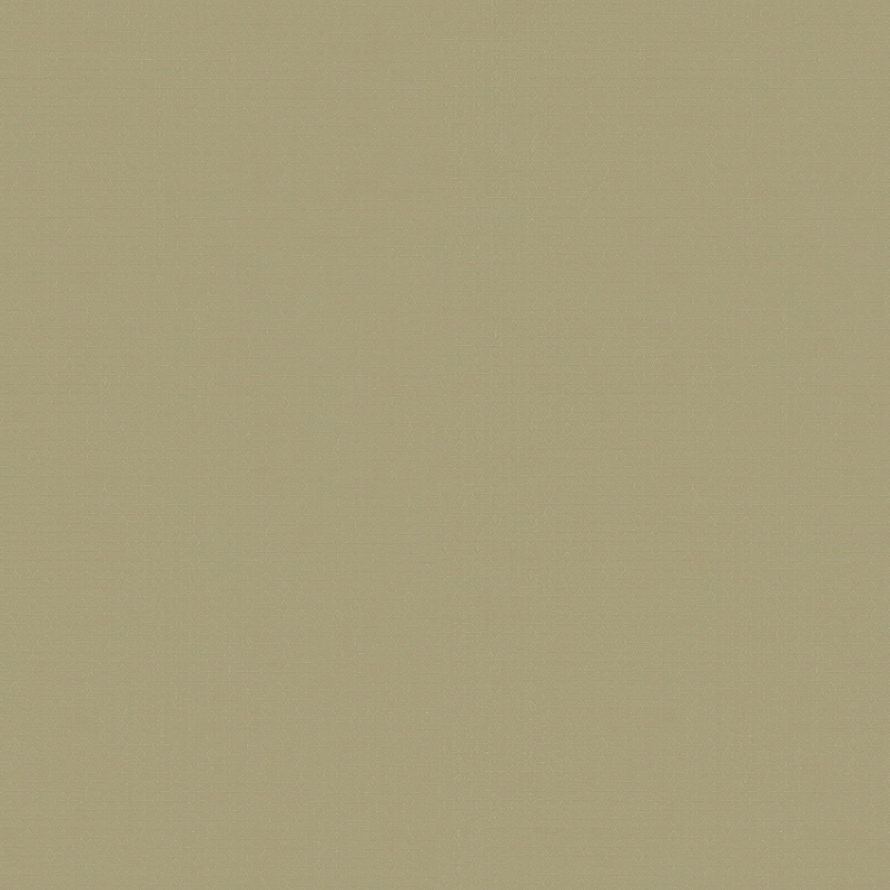 Z54513 Wallpaper