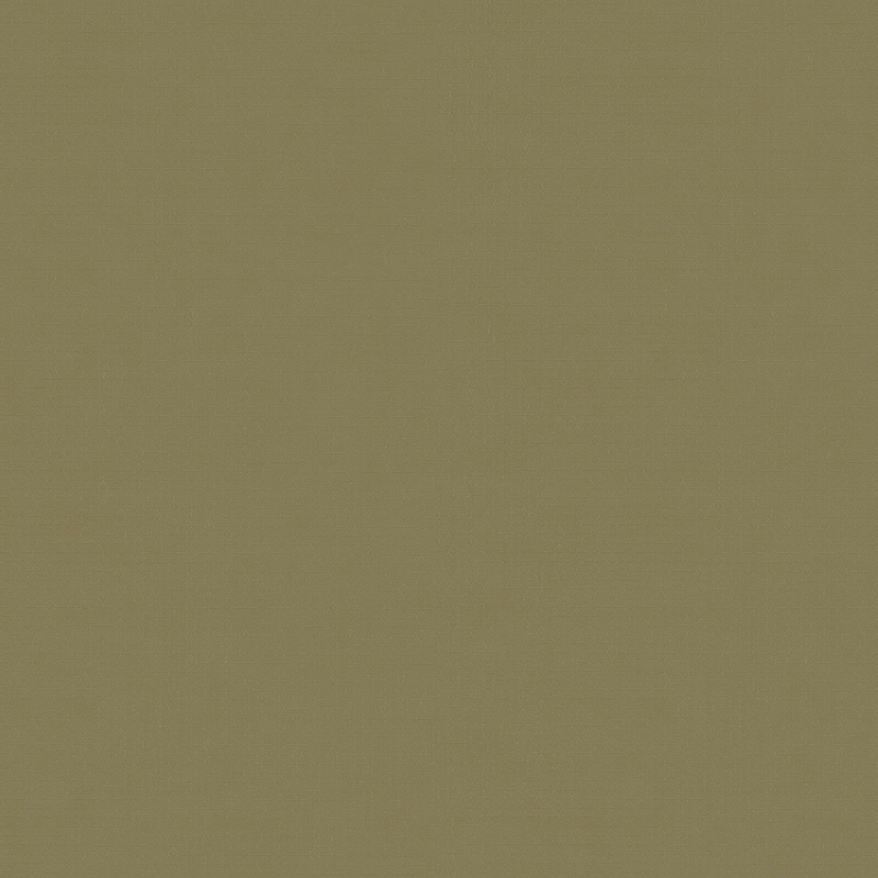 Z54514 Wallpaper