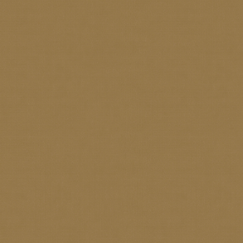 Z54515 Wallpaper