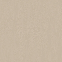 Z54523 Wallpaper
