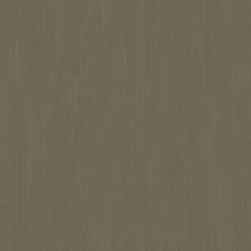 Z54544 Wallpaper